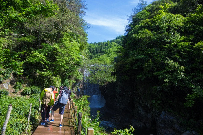 安徽石台醉山野景区