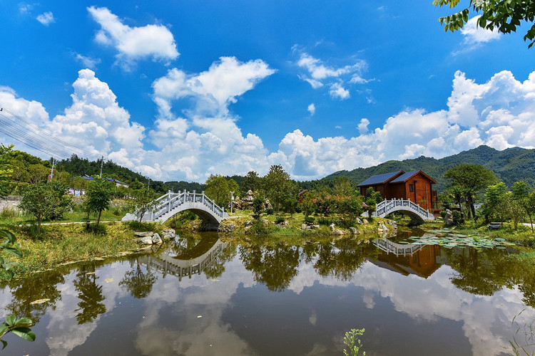 【柃蜜小镇验客】 武汉周边2.5小时,柃蜜小镇里藏着"大宝藏"