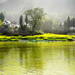 晓起村