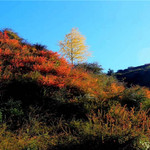 焉支山森林公园