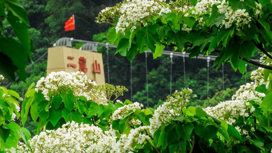 广州二龙山花园