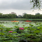 朝阳公园