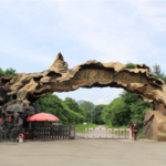 莲花山原始森林公园