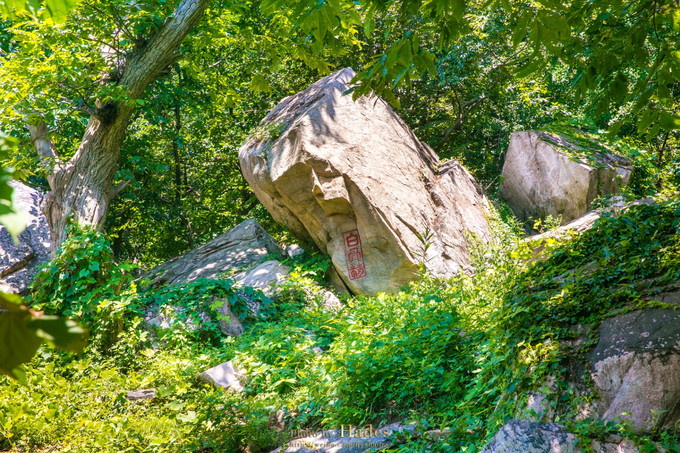 【验遇花果山】观云看海戏山巅 夏末轻游花果山_同程旅游攻略