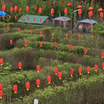 五大连池风景区新新迷宫游园会场
