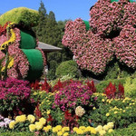 国家植物园（原北京植物园）