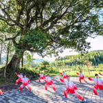 福建云灵山旅游景区