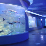 信阳龙都海洋馆