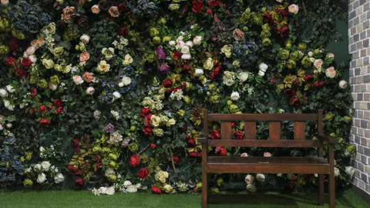 汕头狮子城门票