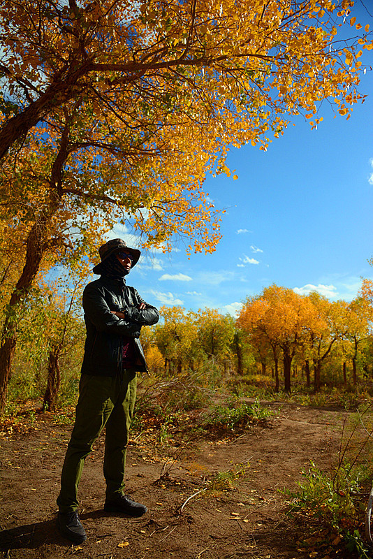 美丽的额济纳胡杨林