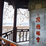 断桥残雪