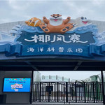 椰风寨