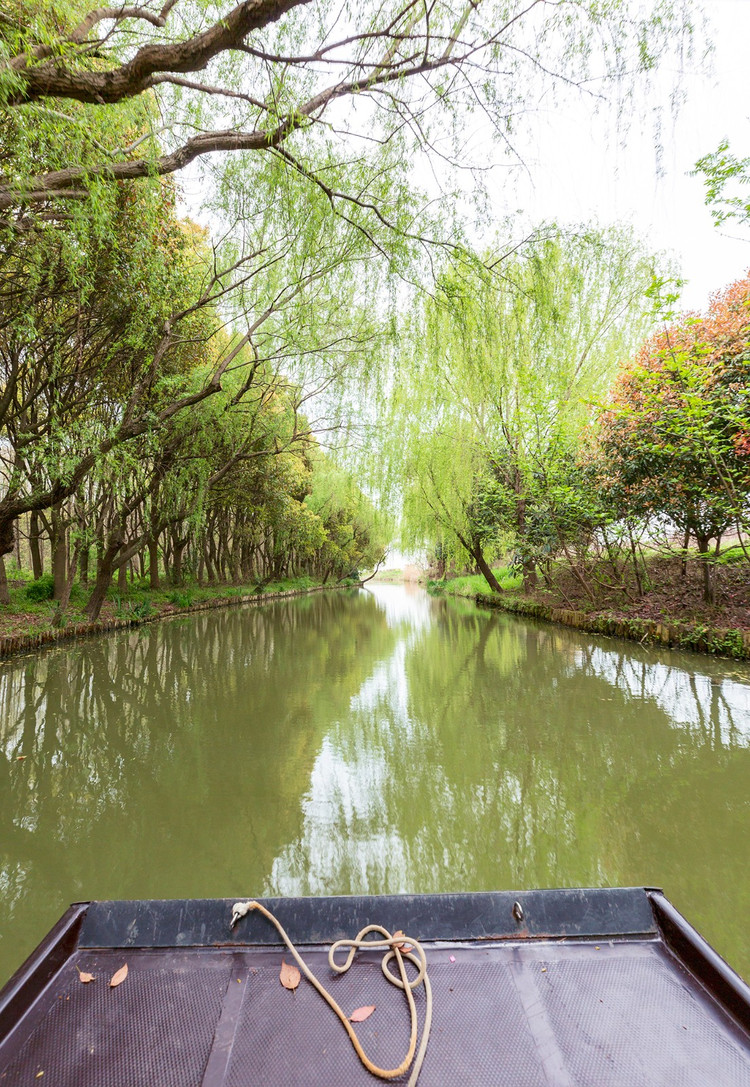 春光不负韶华,去同里国家湿地公园,洗心