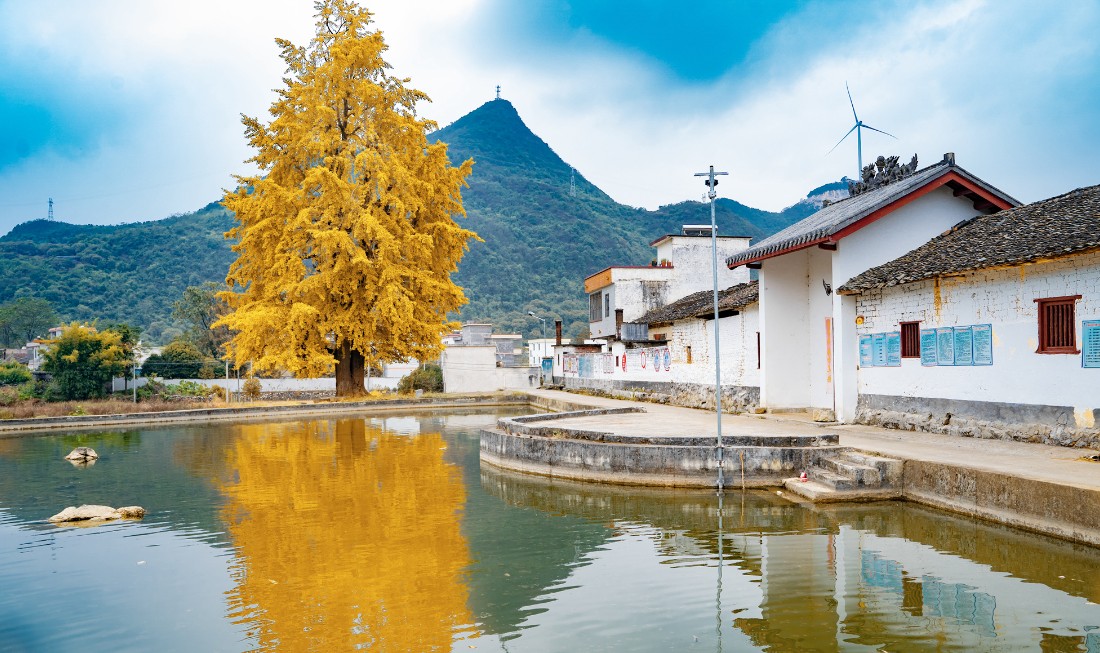 享优惠,更方便周边景点推荐景点地址:广东省清远市阳山县小江镇罗汉村