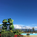 雪山玫瑰庄园