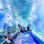湘潭海昌海洋馆