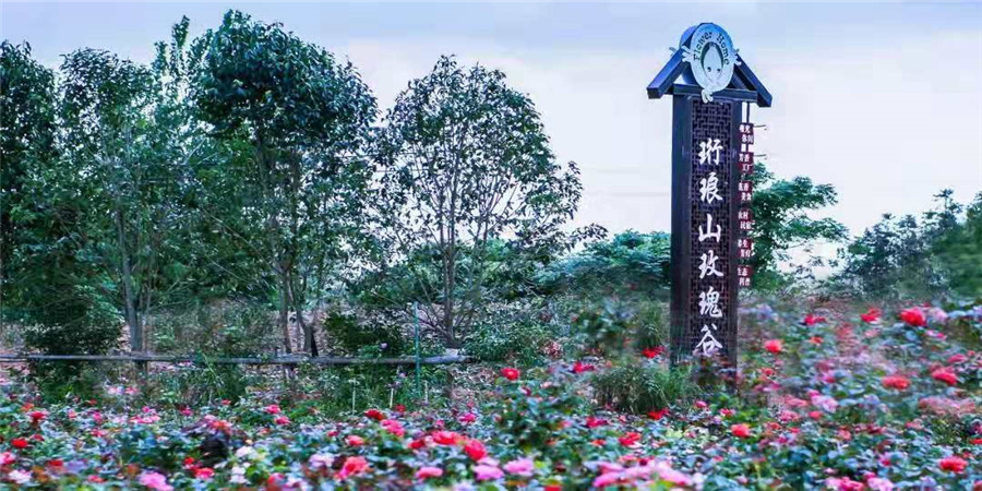 珩琅山玫瑰谷