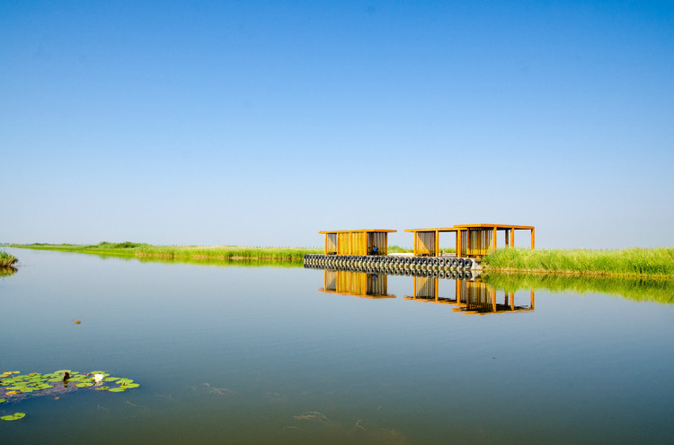 【沙湖验客】塞上江南,沙与湖的奇遇