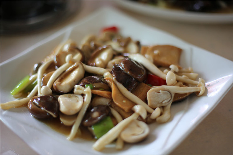 摄影 佛教,登山 徒步 美食 斋菜