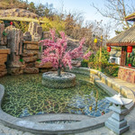西部长青旅游度假区