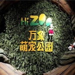 大麦动物王国