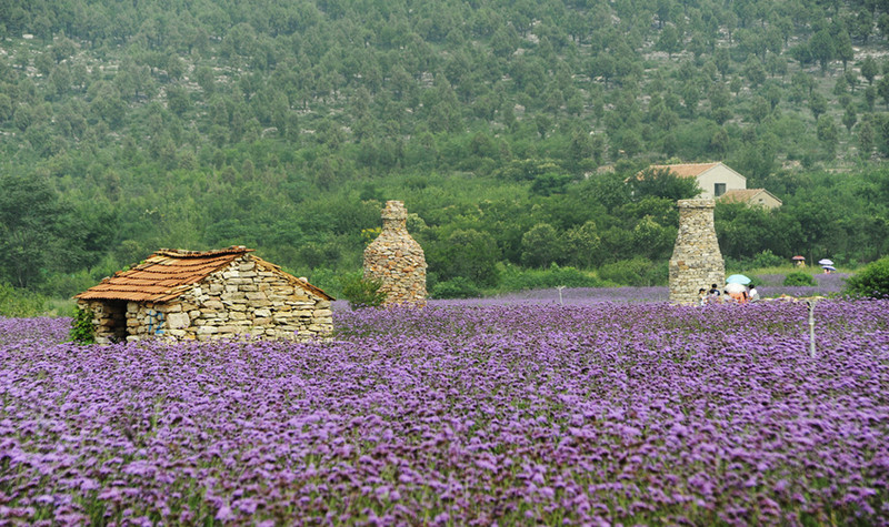 紫海蓝山文化创意园