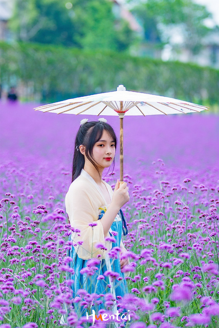 day1,10:00 让我们从紫色花海开始