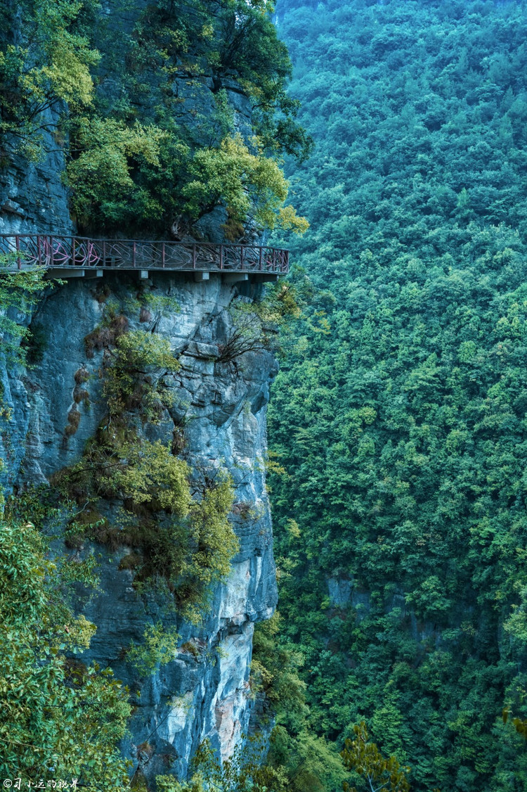 【恩施验客】自驾旅拍恩施地心谷,美景不负