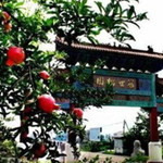 冠世榴园