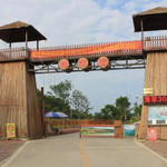 田园寨