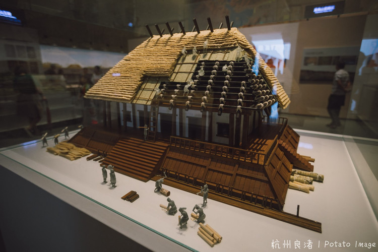 【余杭验客】探秘良渚古城五千年文明,寻找抹茶前世今生