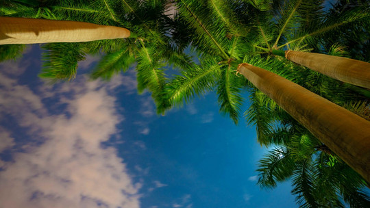 厦门日月谷温泉门票预订 厦门日月谷温泉门票价格 厦门日月谷温泉门票多少钱 同程旅行