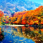丹东蒲石河森林公园