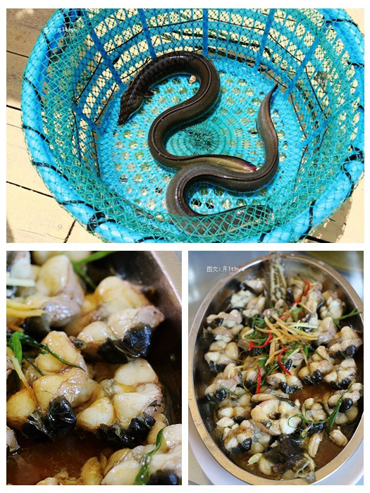 走进浯屿岛品美味野生海鲜