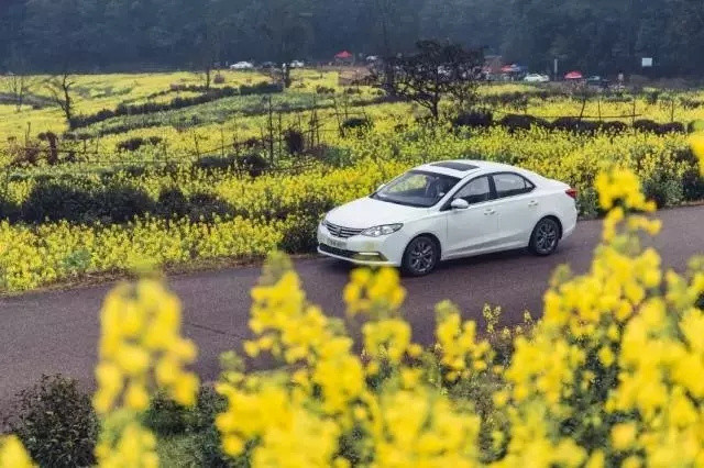 油菜花开满地黄四月婺源小天堂