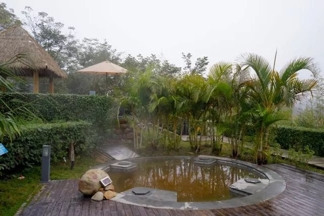 爱必侬泉林酒店 | 泡汤汽氤氲,靓汤暖脾胃