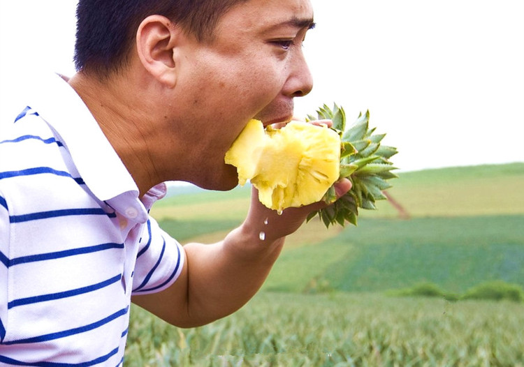 菠萝海里的菠萝哥