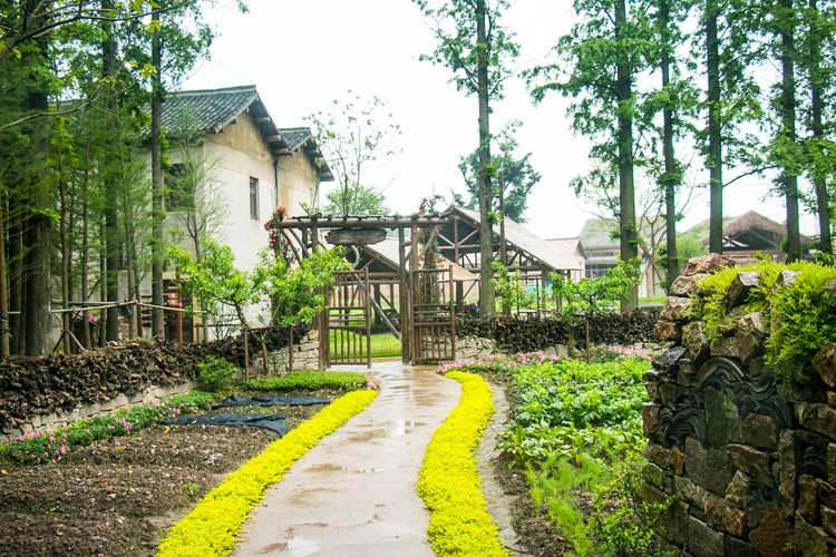 乌村:距离喧嚣一步之遥,隐于乡野,在我眼中却刚刚好 - 游记攻略【同程