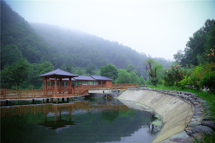 【栾川旅游】盛夏邂逅不一样的洛阳栾川秘境 - 栾川县游记攻略【同程