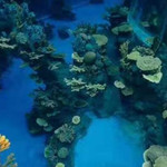 大理海洋世界