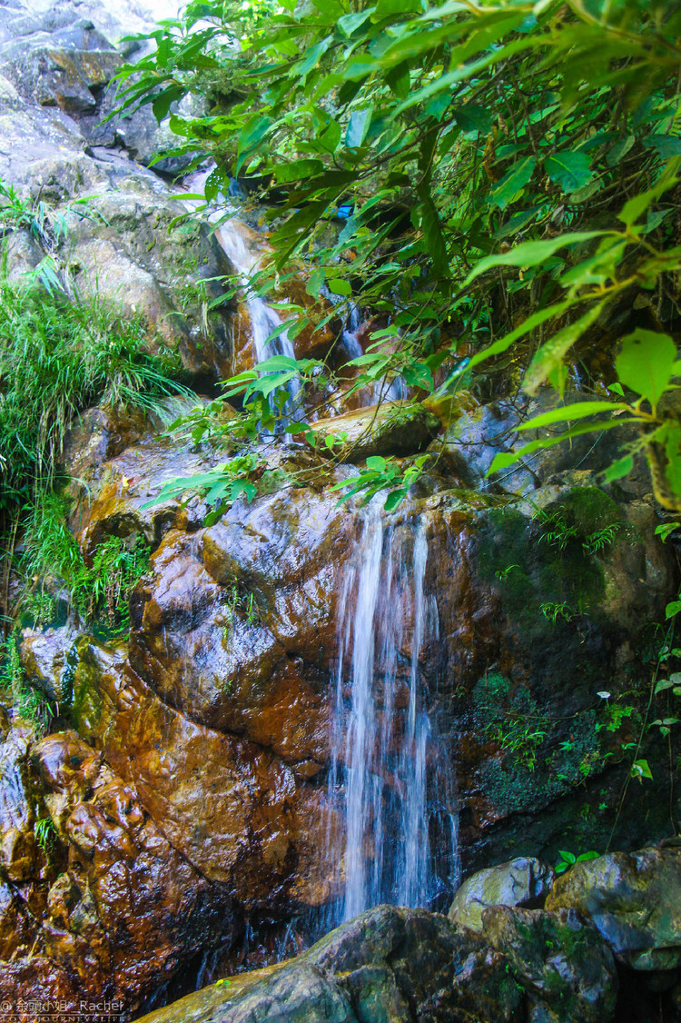【九州驿站验客】住温泉树屋,听泉水叮咚!