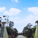 庞艺蓝莓世界