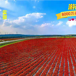 南京枫彩漫城