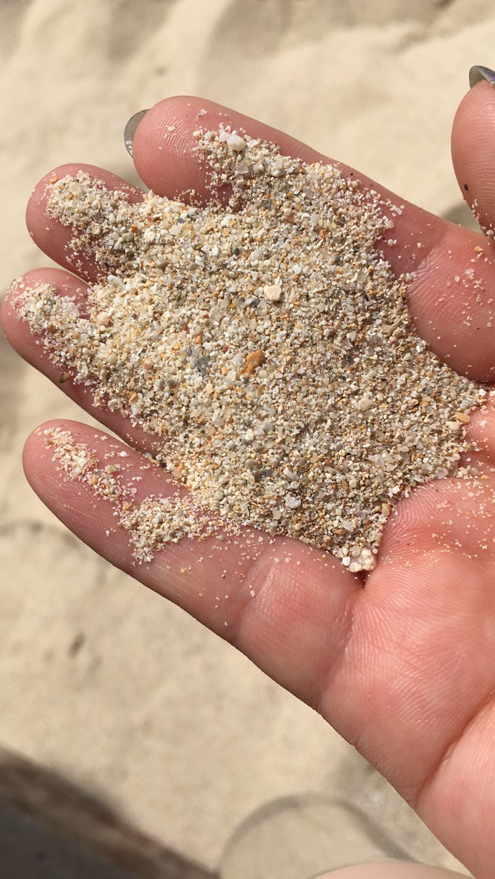 放下行李,就跑去看海了,随手抓了一把沙子,可真细呀
