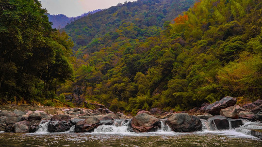 三爪仑国家森林公园