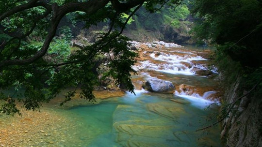 山西蟒河生态旅游区门票