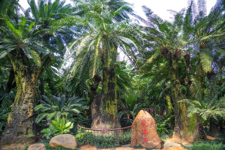 广西| 五天四夜自驾游,发现最美北部湾滨