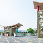 张桥湿地公园