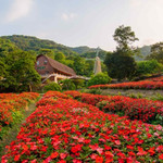 广州二龙山花园
