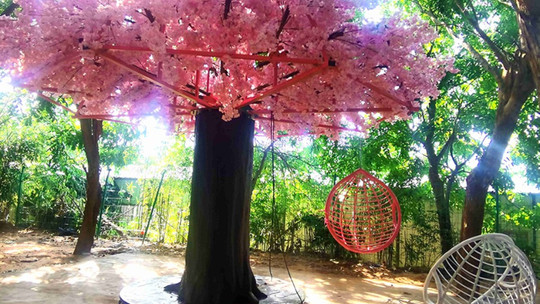 定安大风车农庄